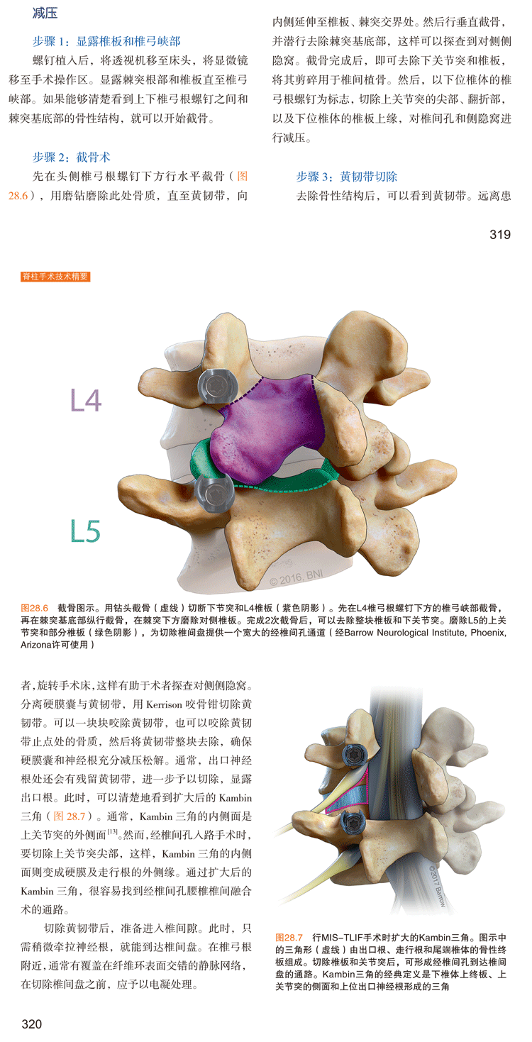 11月新书推荐：脊柱技术精要与手术室操作规范！