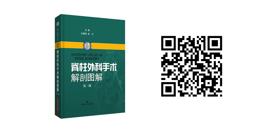 脊柱4.png 新春特惠-骨科图书低至6折