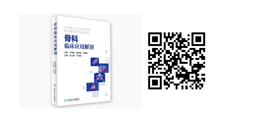 其他4.png 新春特惠-骨科图书低至6折